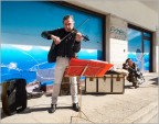 Violinista Violinista