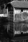 Riflessi Riflessi