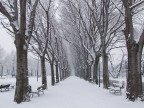Tempo di neve. Tempo di neve.