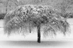 Tempo di neve. Tempo di neve.