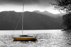 Fin che la barca... non va Fin che la barca... non va