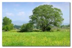 Campagna Campagna