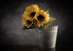 I girasoli nel vaso