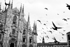 Duomo con piccioni Duomo con piccioni