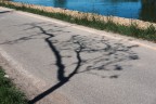 3496 3496