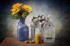 Giallo bianco e blu Giallo bianco e blu