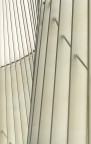 linee linee