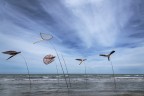 origami nel vento origami nel vento