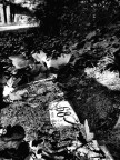 Abandoned place 9 Abandoned place 9