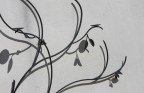 Illusione Illusione