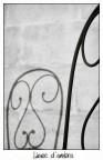 Linee d'ombra Linee d'ombra