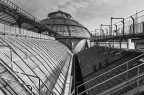 Sul tetto della galleria B e W Sul tetto della galleria B e W