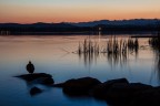 Angolo zen sul lago ... Angolo zen sul lago ...