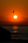 Tramonto su Peschici Tramonto su Peschici