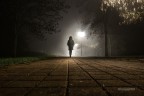 la solitudine dei numeri primi la solitudine dei numeri primi