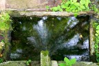 Acqua verde Acqua verde