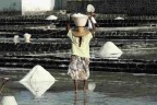 la fatica delle donne nella salina...