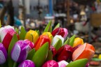 Flowers Flowers