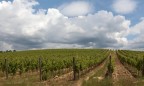 Campagne Senesi