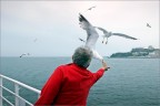 L'uomo dei gabbiani L'uomo dei gabbiani
