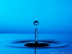 nel blu.. nel blu..