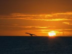 TRAMONTO A LOS ROQUES TRAMONTO A LOS ROQUES