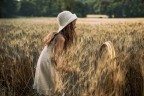Gold in the wheat Gold in the wheat