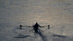 The rower The rower