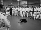Lezioni di judo Lezioni di judo