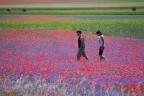 Castelluccio Castelluccio