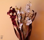 sfumature di marrone