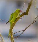 ogni consiglio � sempre ben accetto