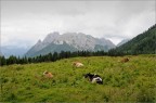 Dolomiti da Casera Razzo (BL)