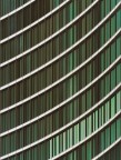 Linee e curve Linee e curve