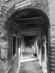 ...Venezia ...Venezia