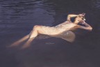 Nymphaea Nymphaea