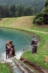 Il pescatore Il pescatore
