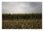 Variazioni padane Variazioni padane