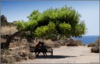Promessa a Selinunte Promessa a Selinunte