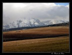Monti innevati! Monti innevati!