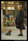 Tale cane... Tale cane...