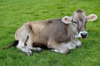 Relax... Relax...