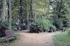 Solitude