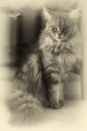 Zenobia