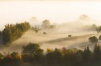 nebbia d'autunno nebbia d'autunno