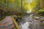 Ponte di legno Ponte di legno