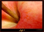 Apple? Apple?