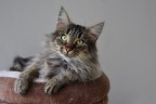 Bellissima... Bellissima...
