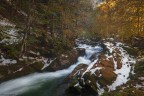 Un assaggio d'autunno Un assaggio d'autunno