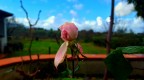 Old Rose Old Rose